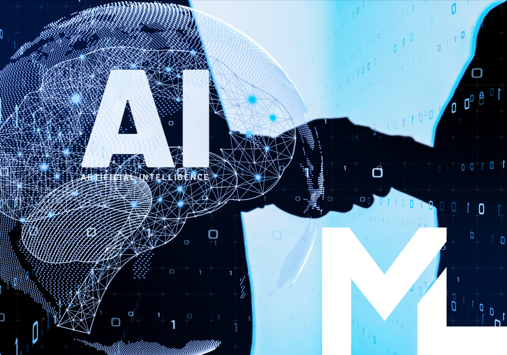 AI & ML Solutions